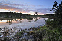 Hydrogen suphide (H2S) pond at dusk, Bog forest, Kemeri National Park, Latvia, June 2009