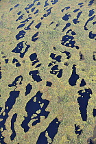 Aerial view of bog, Kemeri National Park, Latvia, June 2009