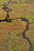 Aerial view of bog, Kemeri National Park, Latvia, June 2009