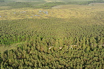 Aerial view of bog and forests, Kemeri National Park, Latvia, June 2009
