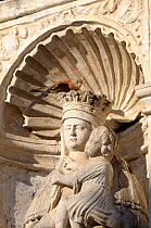 Lesser kestrel (Falco naumanni) perched on statue of Madonna, Santa Chiara church, Matera, Basilicata, Southern Italy, June 2009