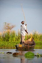 Local fisherman punting on Lake Albert, Semliki Game Reserve, Uganda