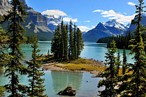 View from Spirit Island of Maligne Lake, Jasper National Park, Rocky Mountains, Alberta, Canada, September 2009