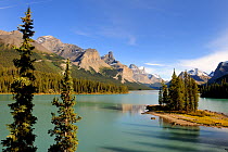 View from Spirit Island of Maligne Lake and surrounding mountains, Jasper National Park, Rocky Mountains, Alberta, Canada, September 2009