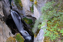 View in to Maligne canyon from the top, Jasper National Park, Rocky Mountains, Alberta, Canada, September 2009