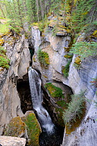 Maligne canyon, with waterfall, Jasper National Park, Rocky Mountains, Alberta, Canada, September 2009