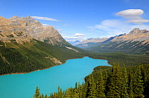 Peyto Lake, Banff National Park, Rocky Mountains, Alberta, Canada, September 2009