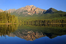 Mount Pyramid with reflection in Pyramid Lake, Jasper National Park, Rocky Mountains, Alberta, Canada, September 2009