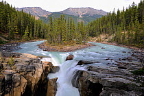 Sunwapta river Falls with a small tree covered island in river, Jasper National Park, Rocky Mountains, Alberta, Canada, September 2009