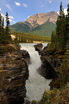 Athabasca falls, Jasper National Park, Rocky mountains, Alberta, Canada, September 2009