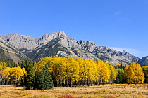 Bow Valley in autumn, Banff National Park, Rocky Mountains, Alberta, Canada, September 2009