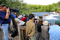 Photographers and tourists observing Grizzly bears (Ursus arctos horribilis) on Brooks falls platform, Brooks river, Katmai National Park, Alaska, USA, July 2009