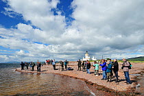 Visitors and local people watching Bottlenosed dolphins (Tursiops truncatus) at Chanonry Point, Moray Firth, Nr Inverness, Scotland, June 2008