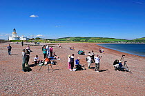 Visitors and local people gathering to watch Bottlenosed dolphins (Tursiops truncatus) on an incoming tide at Chanonry Point, Moray Firth, Nr Inverness, Scotland, May 2009