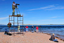Laurie Campbell photographing Bottlenosed dolphins (Tursiops truncatus) from scaffold tower for Wild Wonders of Europe project, Moray Firth, Nr Inverness, Scotland, May 2009