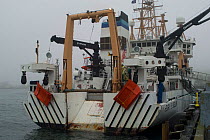 Research vessel "Henry B. Bigelow" before departure to the Mid-Atlantic Ridge, Newport, Rhode Island, USA, June 2009