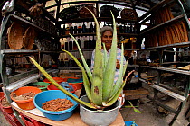 Woman selling medicinal plants including Aloe vera in Belen Market, Belen / Little Venice, Loreto, Iquitos, Peru, May 2006