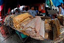 Paiche / Pirarucu (Arapaima gigas) salted fish (right) and Caiman meat (left) Belen Market, Iquitos, Peru, May 2006