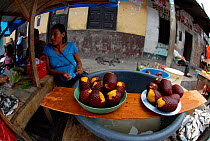 Aguaje palm / Buriti palm fruits Belen Market, Iquitos, Peru, May 2006