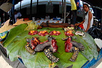 Yellow foot tortoise meat (Geochelone denticulata) for sale as bushmeat, Belen Market, Loreto, Iquitos, Peru, May 2006