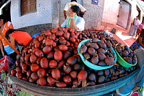 Aguaje / Buriti palm fruits, Belen Market, Iquitos, Peru, May 2006