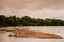 Logging raft on the Yavari (or Javari) River, Peru on the left, Brazil on the right, May 2008
