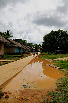 Shallow puddle of standing water, breeding ground for malarial mosquitoes, in a remote rural village, Nuevo Esperanza, Rio Yavari-Mirin, Peruvian Amazon Rainforest town, Peru, May 2008