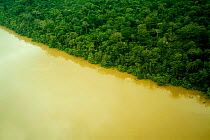 Aerial view of Yavari River and Amazon Rainforest, Peru