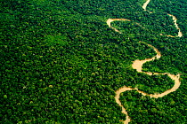 Aerial view of Amazon rainforest with river, Peru