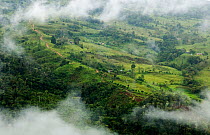Aerial view of cloud forest cleared for pasture near to populations of Yellow-tailed woolly monkeys, Alto Mayo, Amazonas, Peru, June 2008