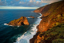 Punta Gorda coast protected area, Northwest La Palma, Canary Islands, Spain, March 2009