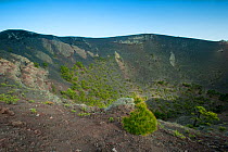 Teneguia Volcano crater, La Palma, Canary Islands, Spain, March 2009