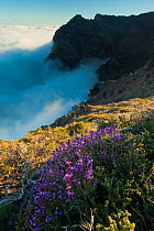Sea of clouds, La Caldera de Taburiente National Park, La Palma, Canary Islands Spain, March 2009