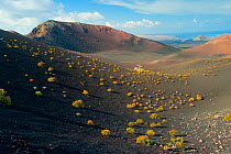 Volcanic landscape, with craters and lava fields, Timanfaya National Park, Lanzarote, Canary Islands, Spain, March 2009