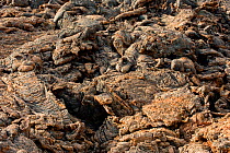 Close-up of solidified lava, Timanfaya National Park, Lanzarote, Canary Islands., March 2009