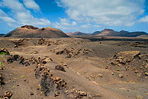 Volcanoes Natural Park, Lanzarote, Canary Islands, Spain, March 2009