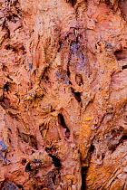Close-up of lava, Timanfaya National Park, Lanzarote, Canary Islands, Spain, March 2009