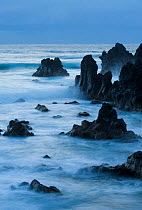 Wild coast near "Los hervideros" South West Lanzarote, Canary Islands, Spain, March 2009
