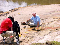 Martin Dohrn films David Attenborough talking about butterfly migration  for BBC TV production of 'Life in the Undergrowth', Peru, October 2004