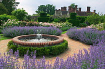 Rose garden, Borde Hill, Sussex, UK, June 2003