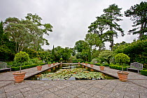 Ornamental lily pond at Borde Hill Gardens, Sussex, UK