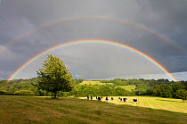 Complete double rainbow over the Sussex Weald, UK