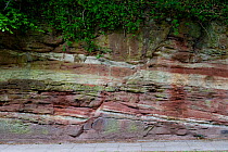 A normal fault in Triassic Sandstone, Wirral, UK, May 2009