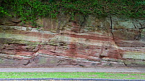 Normal faults in Triassic Sandstone, Wirral, UK, May 2009