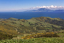 Strait of Gibraltar from Mirador El Estrecho, the best birdwatching spot in Spain for migrating birds. Andalusia, Spain. 2007.