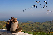 Birdwatchers observing White Storks (Ciconia ciconia) in flight over the Strait of Gibraltar. Mirador El Estrecho, Andalusia, Spain, 2007.