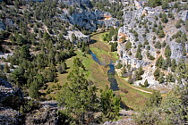 Canyon of Rio Lobos, Castilla y Leon, Spain. April 2006.