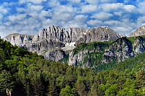 Pyrenees mountains at Selva de Oza, Parque Natural de los Valles Occidentales, Aragon, Spain.