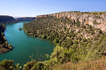 River and Canyon of Duraton, Castilla y Leon, Spain. June 2008.