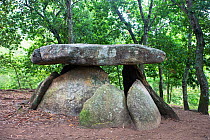 Dolmen de Axeitos stone burial chamber, Galicia, Spain. July 2008.